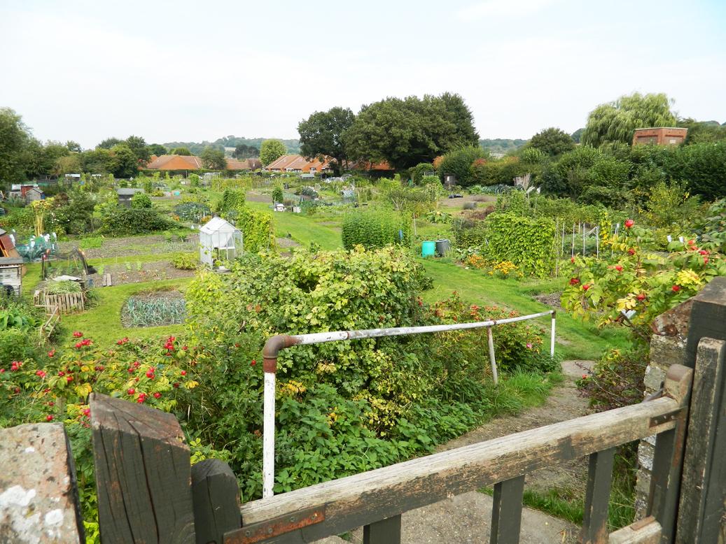 Allotments